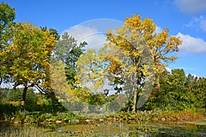 Fall landscape eastern townships