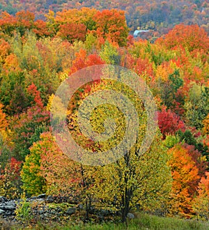 Fall landscape eastern townships