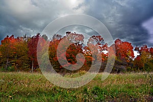 Fall landscape eastern townships