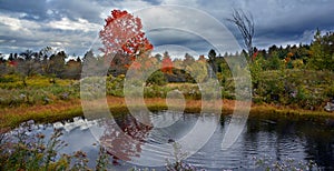 Fall landscape eastern townships