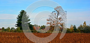 Fall landscape eastern townships