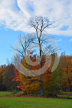 Fall landscape eastern townships