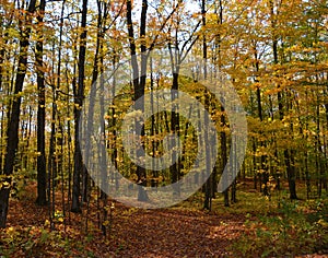 Fall landscape eastern townships