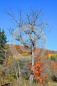 Fall landscape eastern townships