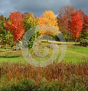 Fall landscape eastern townships Bromont