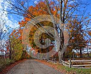 Fall landscape eastern townships Bromont