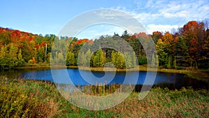 Fall landscape eastern townships Bromont