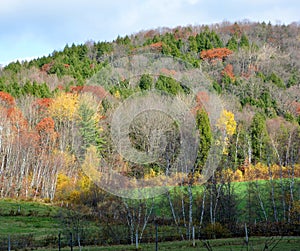 Fall landscape eastern townships Bromont