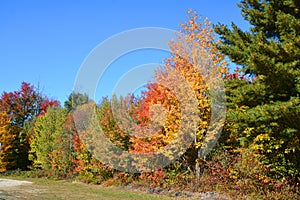 Fall landscape eastern townships Bromont Quebec