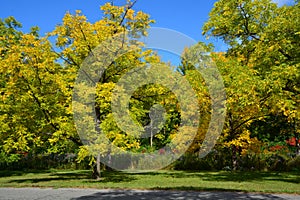 Fall landscape eastern townships Quebec