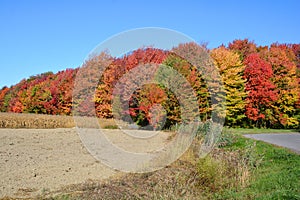 Fall landscape eastern townships Quebec