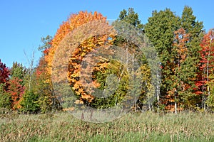 Fall landscape eastern townships Quebec