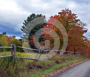 Fall landscape eastern townshipsNorth american fall landscape path road