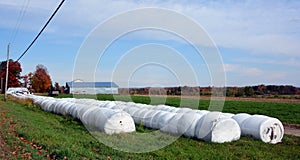 Fall landscape hay bales