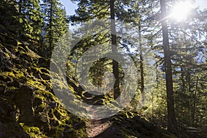 Fall Landscape in North Cascades National Park photo