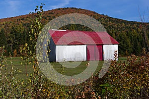 Fall landscape with old red and white old wooden barn set against the Laurentian mountains
