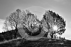 Fall landscape in Polana region