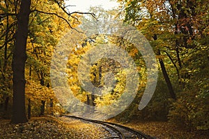Fall landscape with railway tracks running through autumn forest
