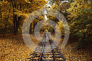 Fall landscape, Railway tracks running through autumn forest
