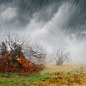 Bouřlivé podzimní den s mlha, déšť, barvy podzimu a temné mraky.