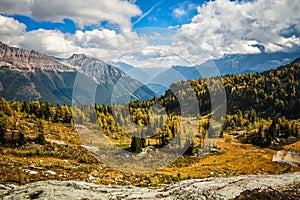 Fall Larch Jumbo Pass Purcell Mountains