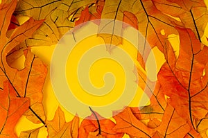 Fall Leaf Background