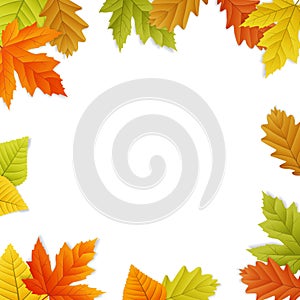 Fall leaf border