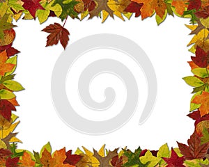 Fall Leaf Frame
