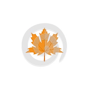 Fall leaf icon design template vector isolated illustration