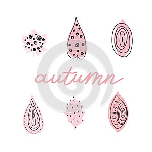 Fall leaf icon vector illustration. Hand drawn colorful design. Isolated graphic