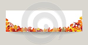 Fall leaf nature banner. Autumn leaves background. Season floral