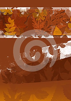 Fall leaf textured background