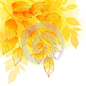 Fall leafs watercolor vector background photo
