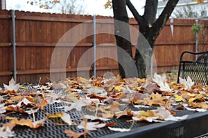 Fall Leave decorate backyard picnic table
