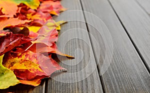 Fall leaves background