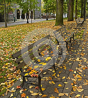 Fall Leaves on Benches Along Park 2