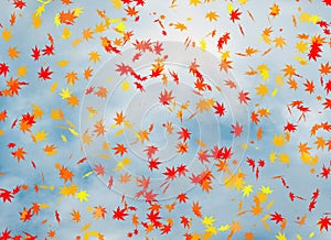 Fall of the leaves on blue cloudiness sky background