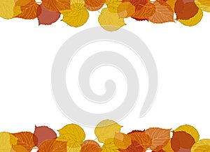 Fall Leaves Border