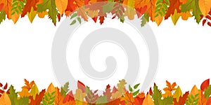 Fall leaves border autumn background. Leaf frame banner for thanksgiving, school. October floral backdrop. Foliage design postcard