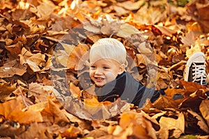 Fall leaves children concept. Child lying on the golden leaf. Boy child with yellow leaf in autumn park. Smile kids face