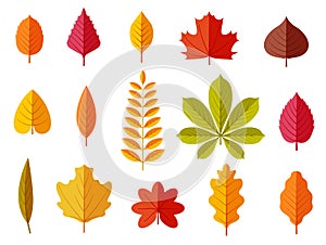 Fall leaves. Colorful autumn leaves, leaf chestnut elm oak, maple forest with yellow and orange foliage. Flat vector