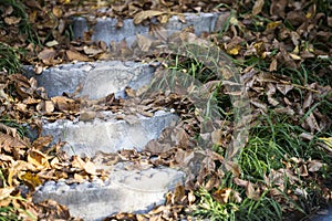 Fall leaves on steps