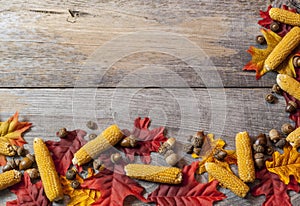 Fall leaves and corn on a table