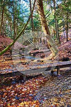 Fall leaves cover forest ground and walking bridge over small creek in park