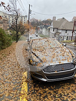 Fall leaves falling to the ground