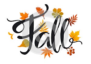 Fall leaves foliage background