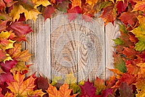 Fall leaves frame