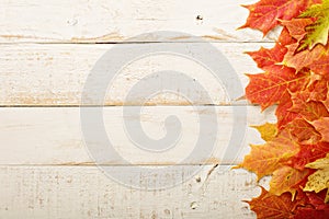 Fall leaves frame on whooden background