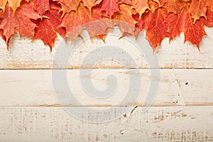 Fall leaves frame on whooden background