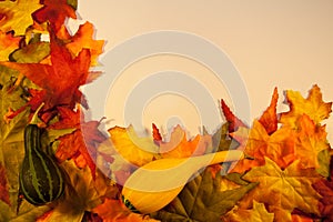 Fall Leaves with Gourds
